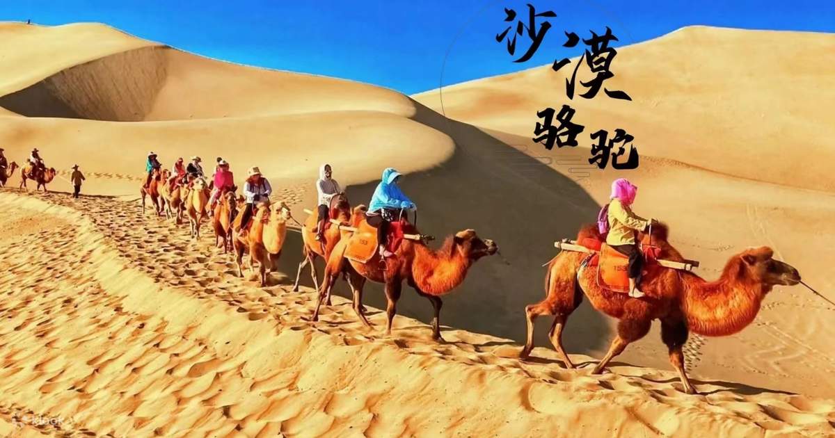 敦煌鳴沙山月牙泉景勝地 | Klook